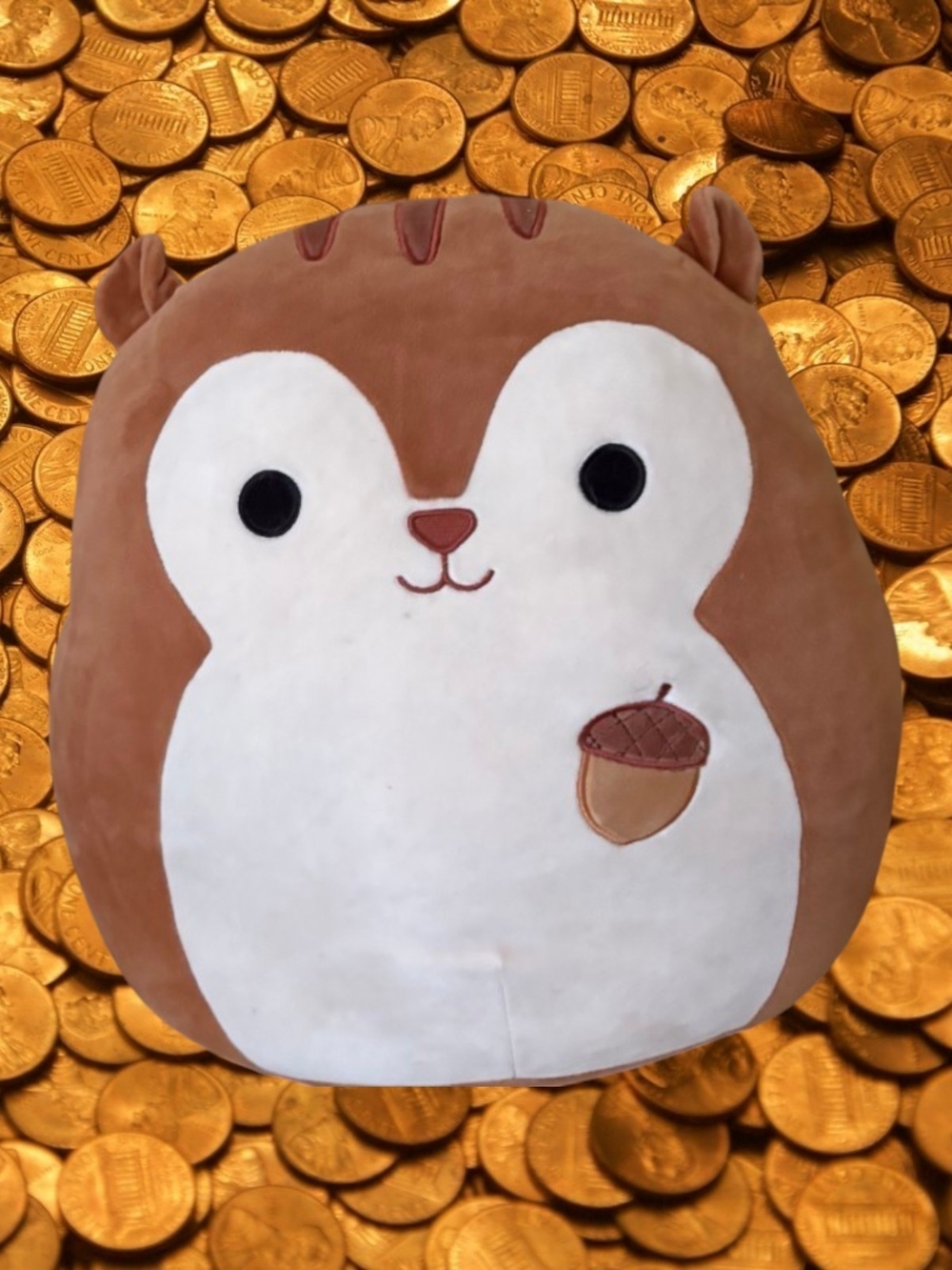 Squishmallows Acorn Sawyer Squirrel with Embroidered Acorn. Treasure Hunter.